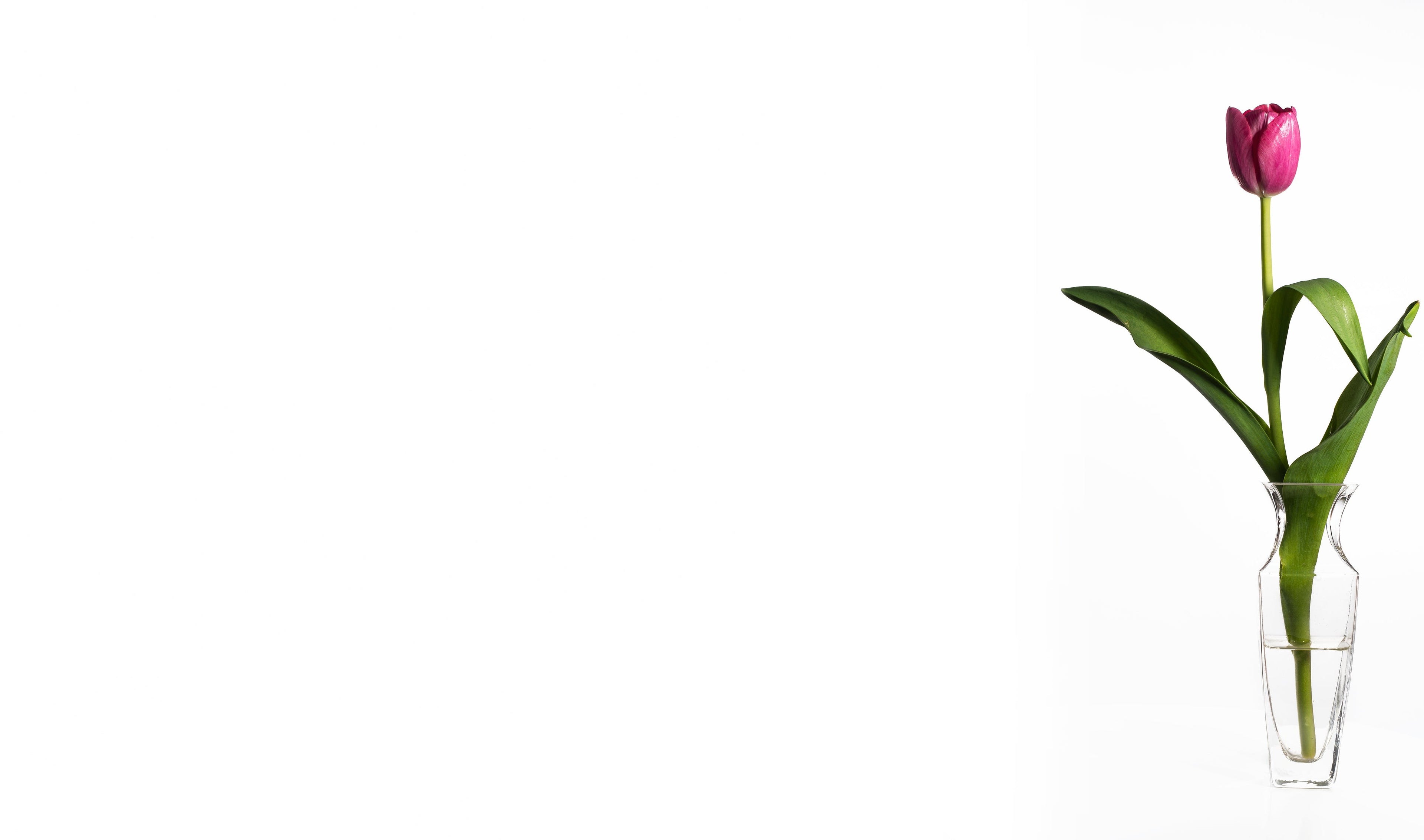 Product image with a clear background